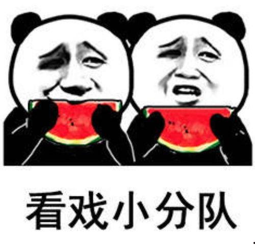 娱乐八卦吃瓜图片搞笑表情包,笑翻朋友圈！娱乐八卦搞笑表情包大盘点